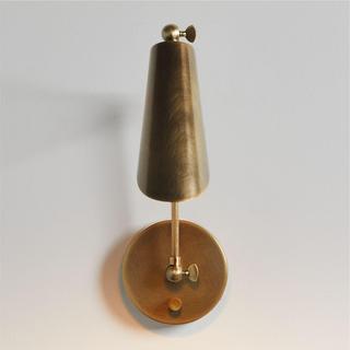 Aurelia Articulating Wall Sconce Light