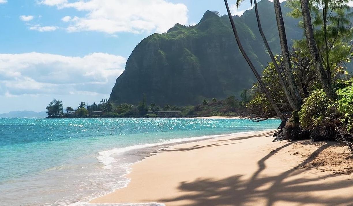 53928919-3fef-41c9-bc2b-fb12613fc23d