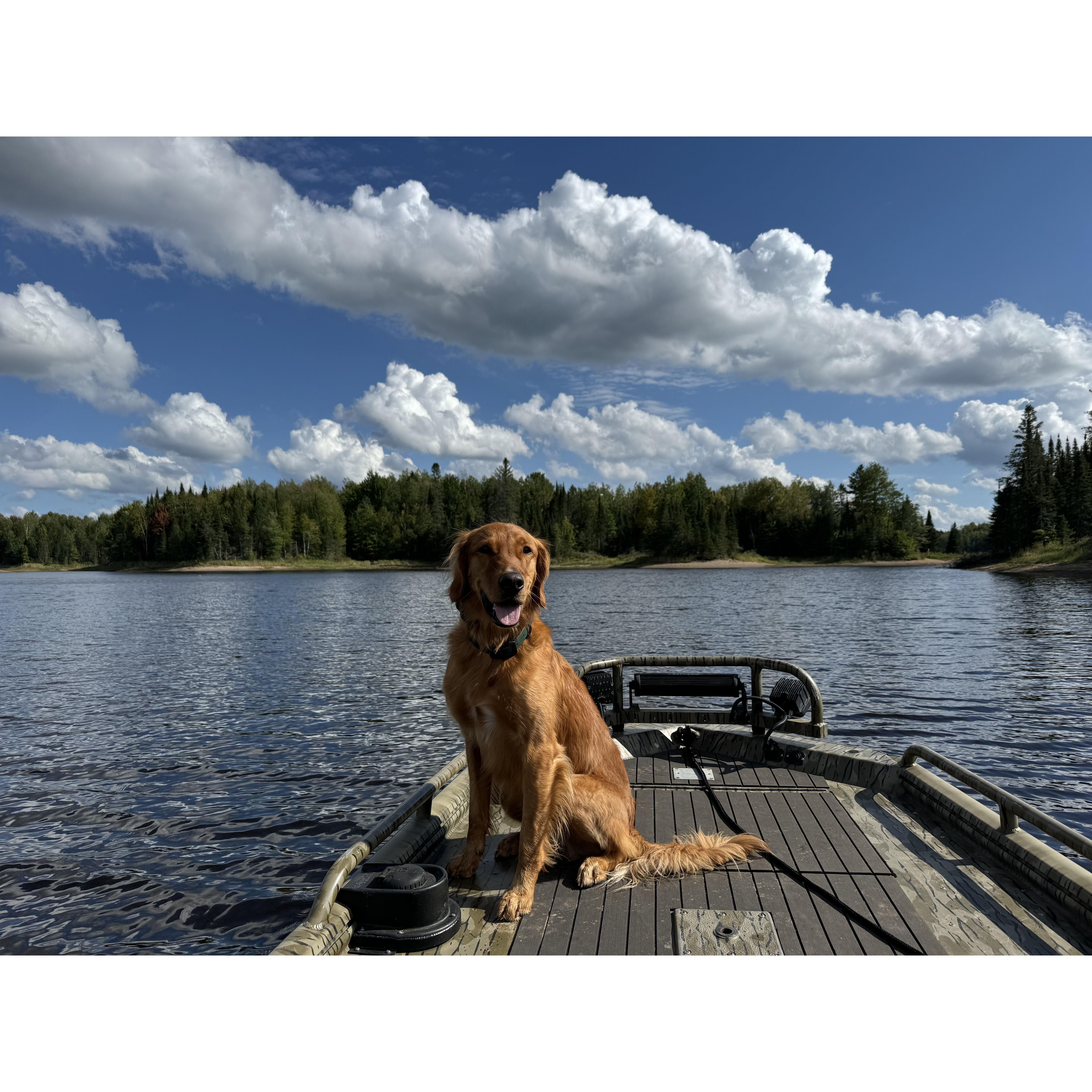 Murphy on the Willow Flowage