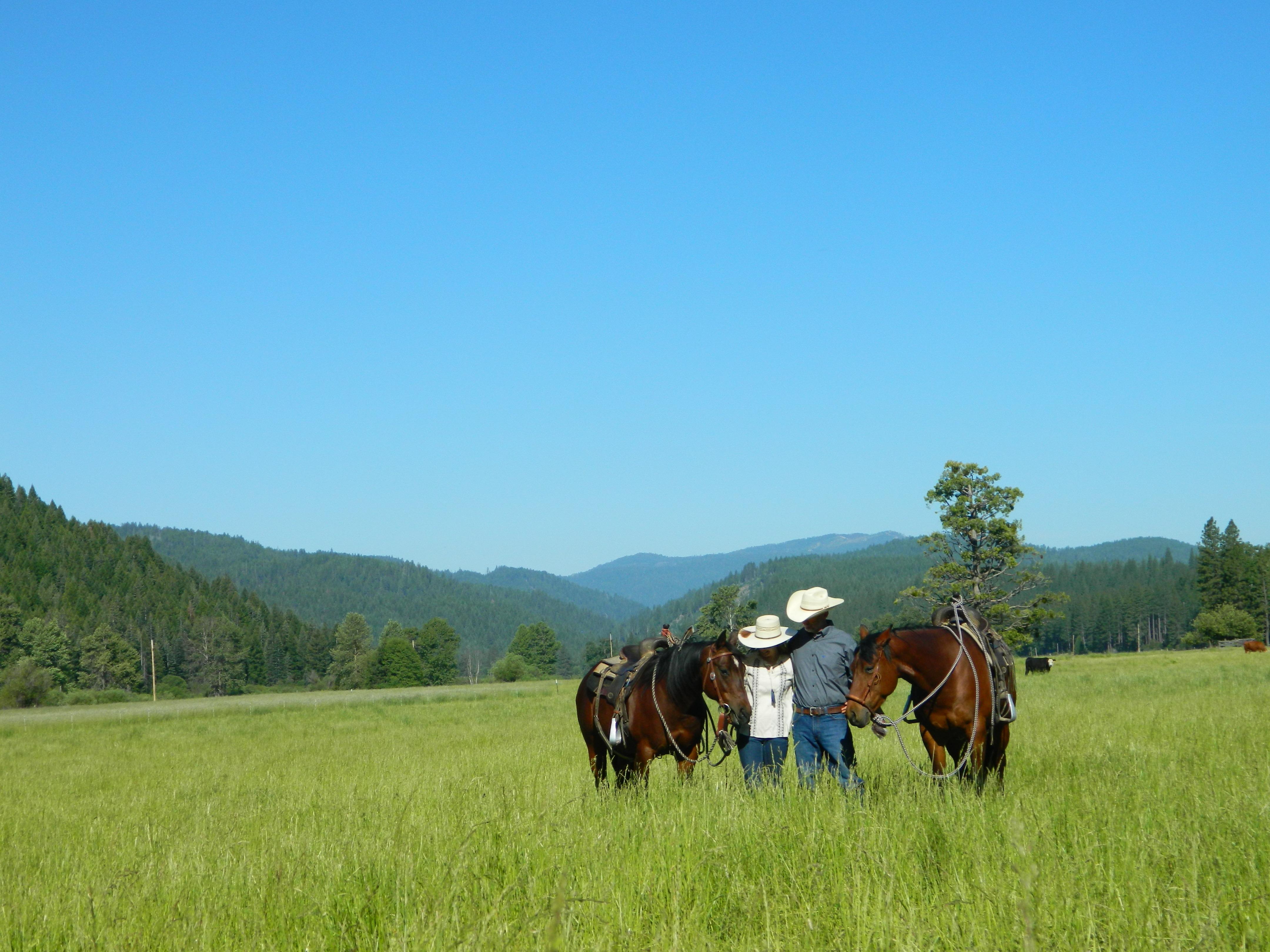 The Wedding Website of Meredith Powell and Brian Hayes