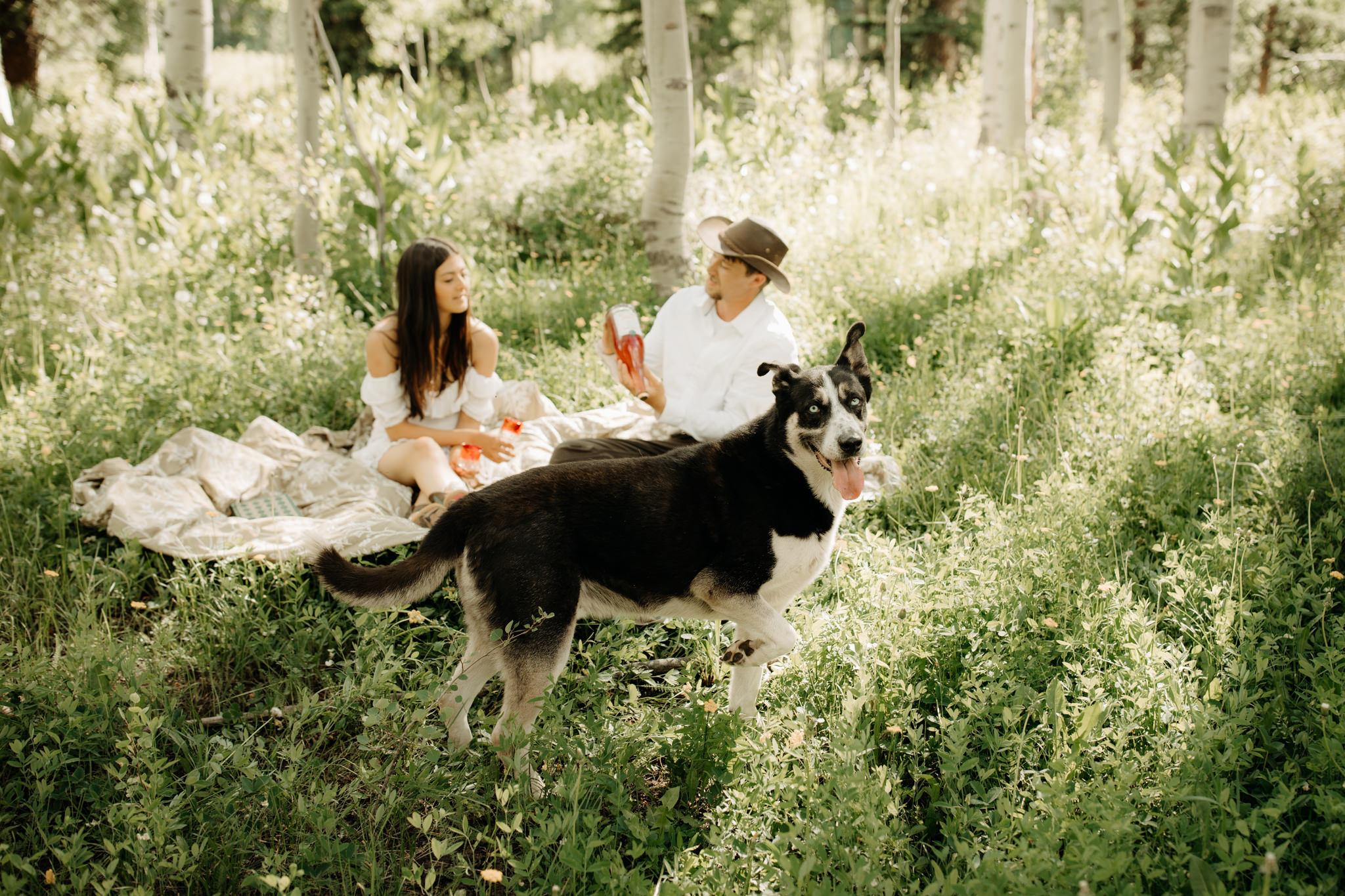 The Wedding Website of Sophia Noëlle Cárdenas and James William Hackett
