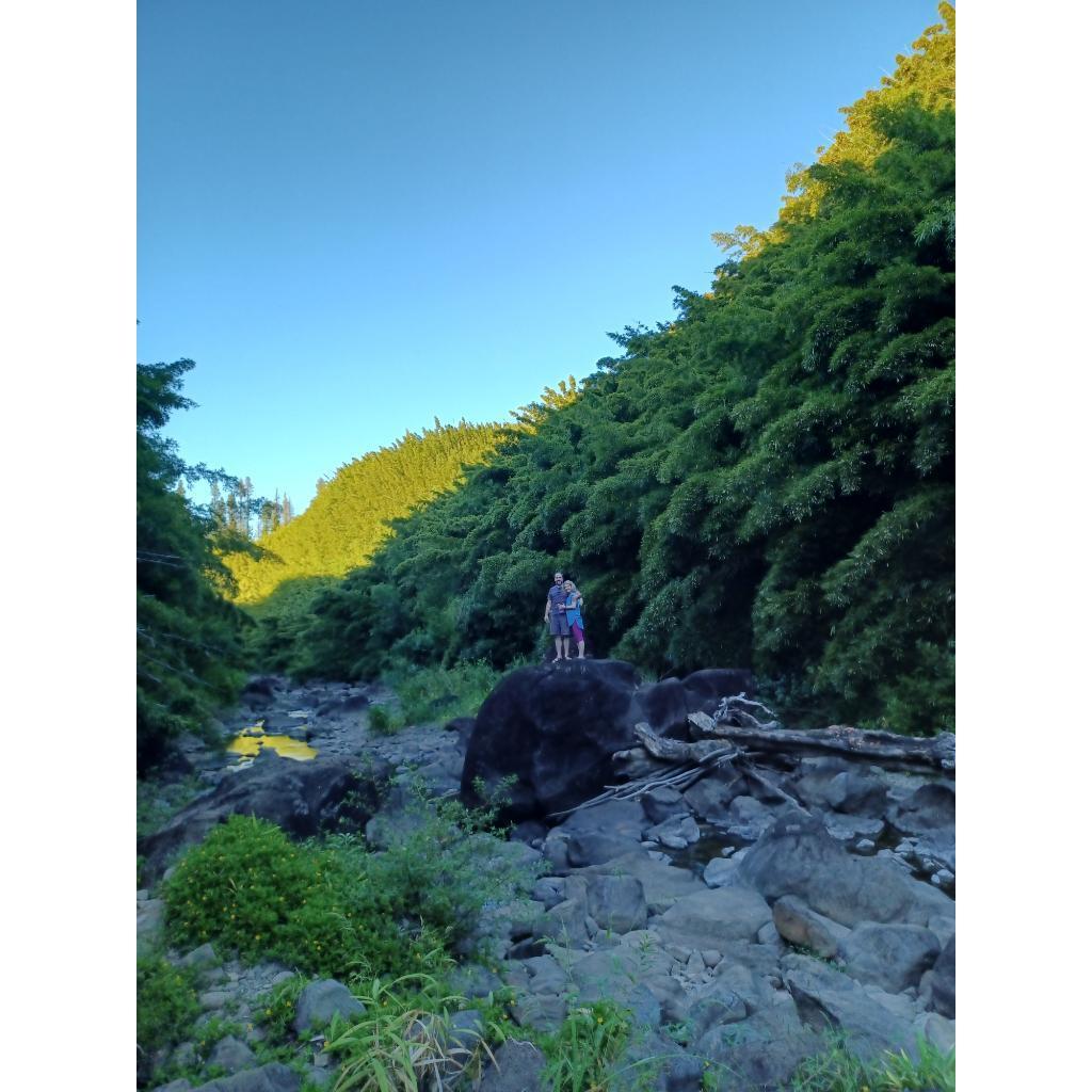 Hiking in the Bamboo forests❤️