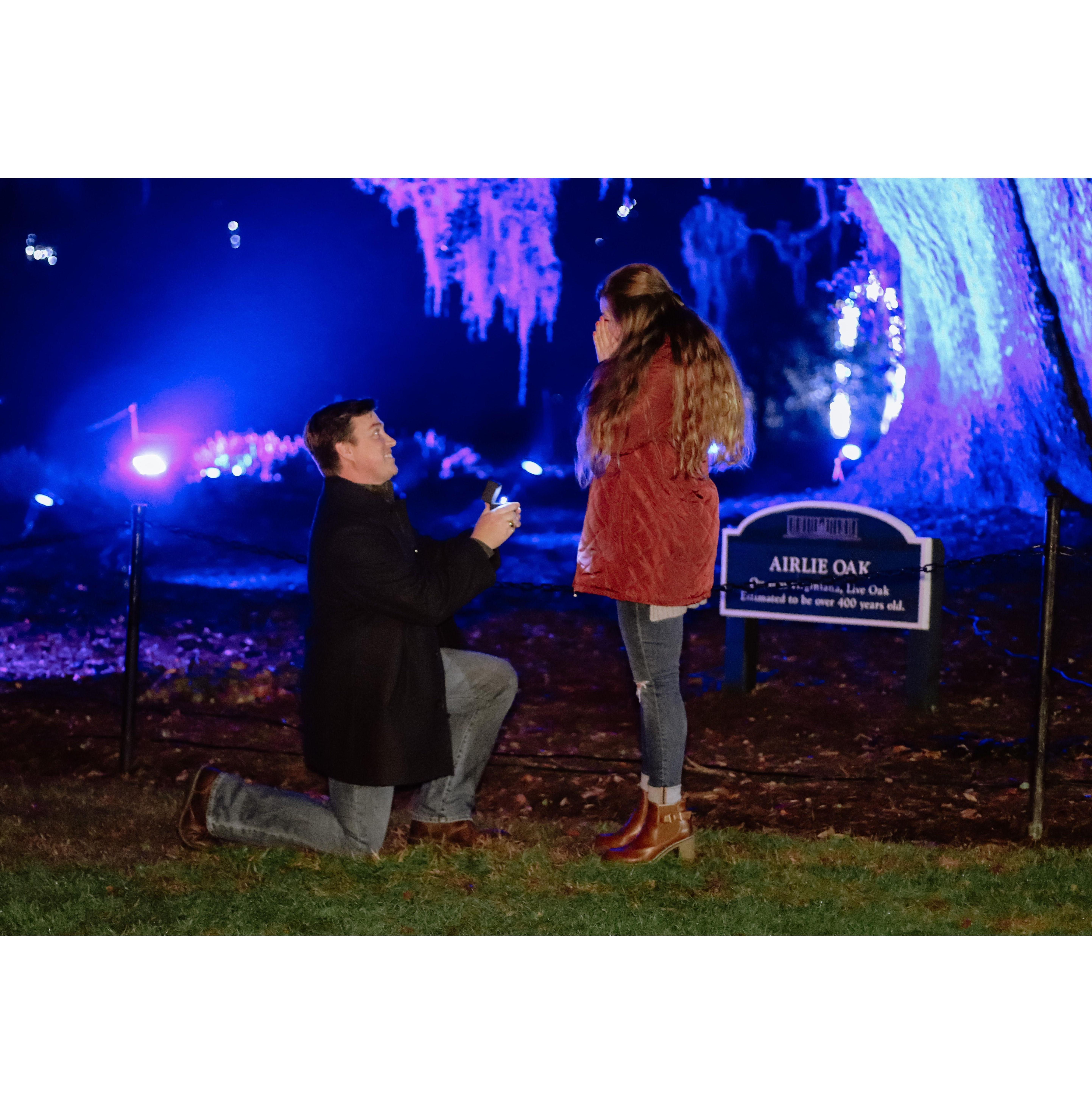 Engagement at Airlie Gardens