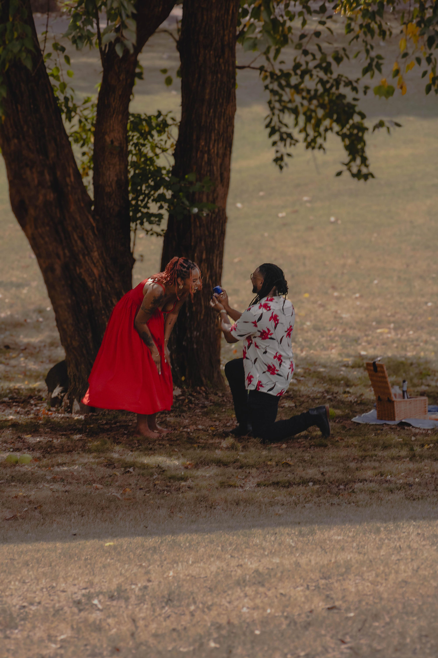 The Wedding Website of Taylor Sneed and Akoyé Brown