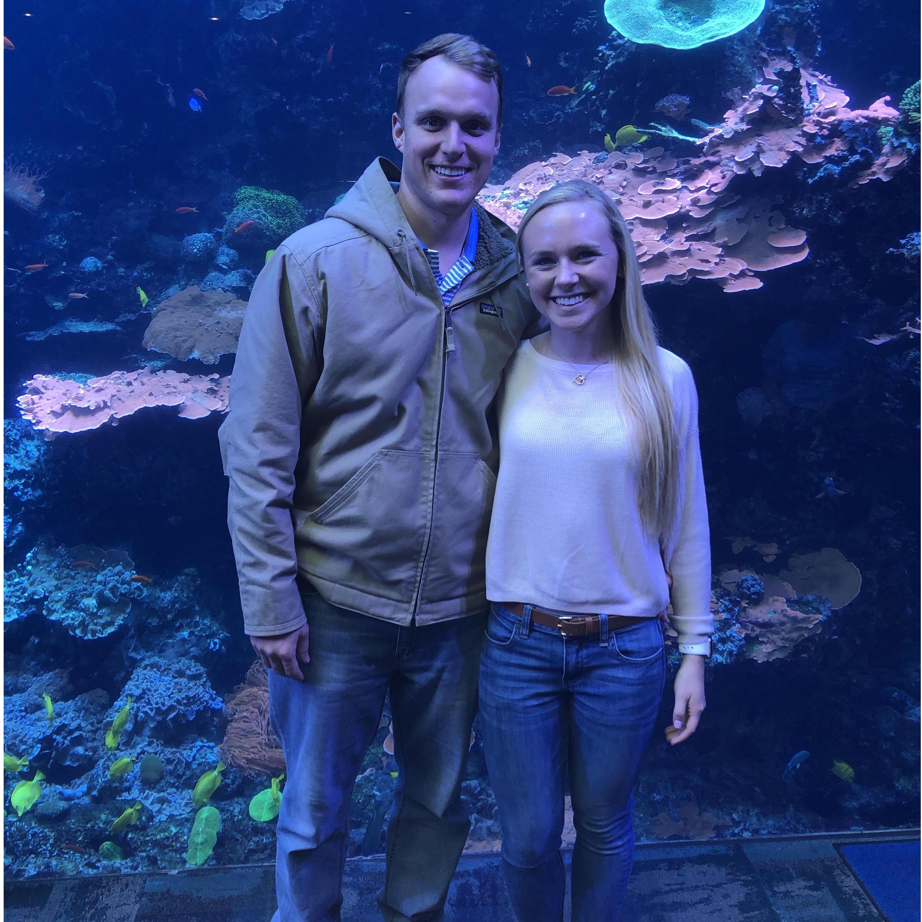 Georgia Aquarium 2019