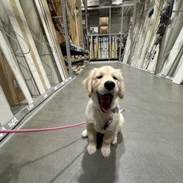 Home DIY Project Fund