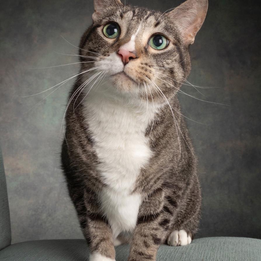 Our fur baby, River