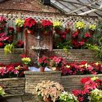 Rockefeller Park & Greenhouse