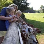 Binder Park Zoo