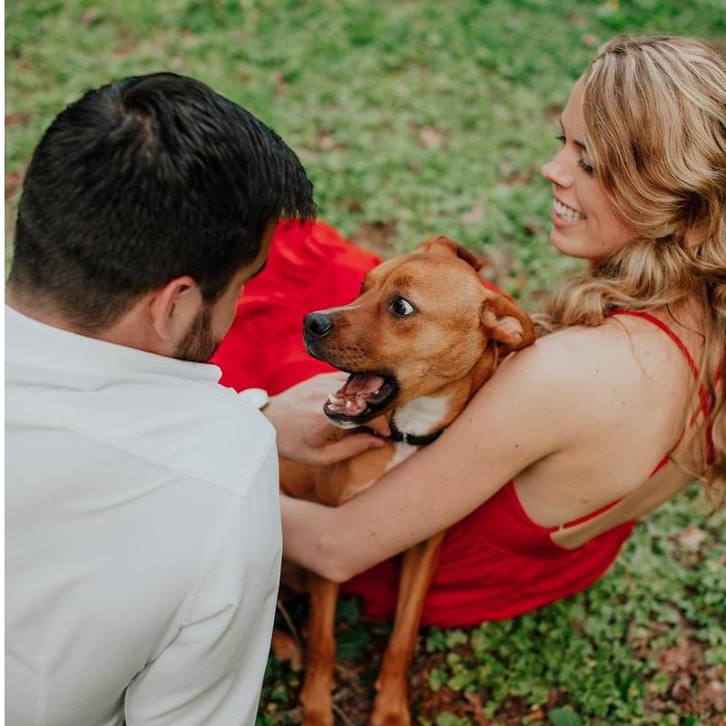 Engagement photos with Josie, May 2021