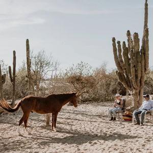 Desert Trail Riding Adventure