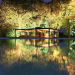 The Glass House