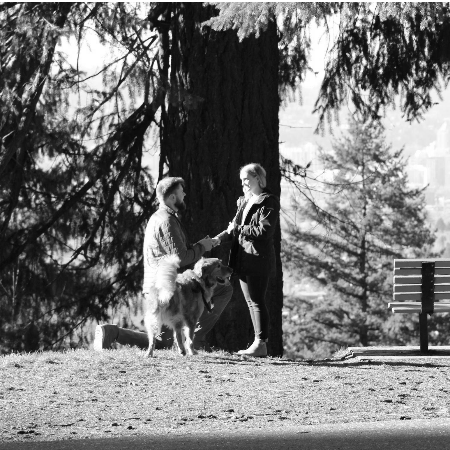 The proposal!