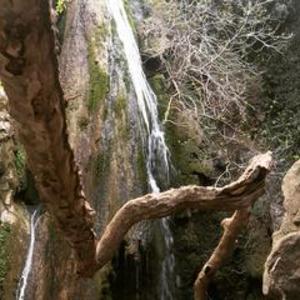 Herbs Olives and Waterfall Adventure Tour - 4x4 Excursion with Land Rover
