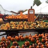 Huber's Orchard and Winery