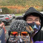 Bristol Mountain Ski Resort Fall Festival
