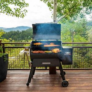 Traeger Pro 22