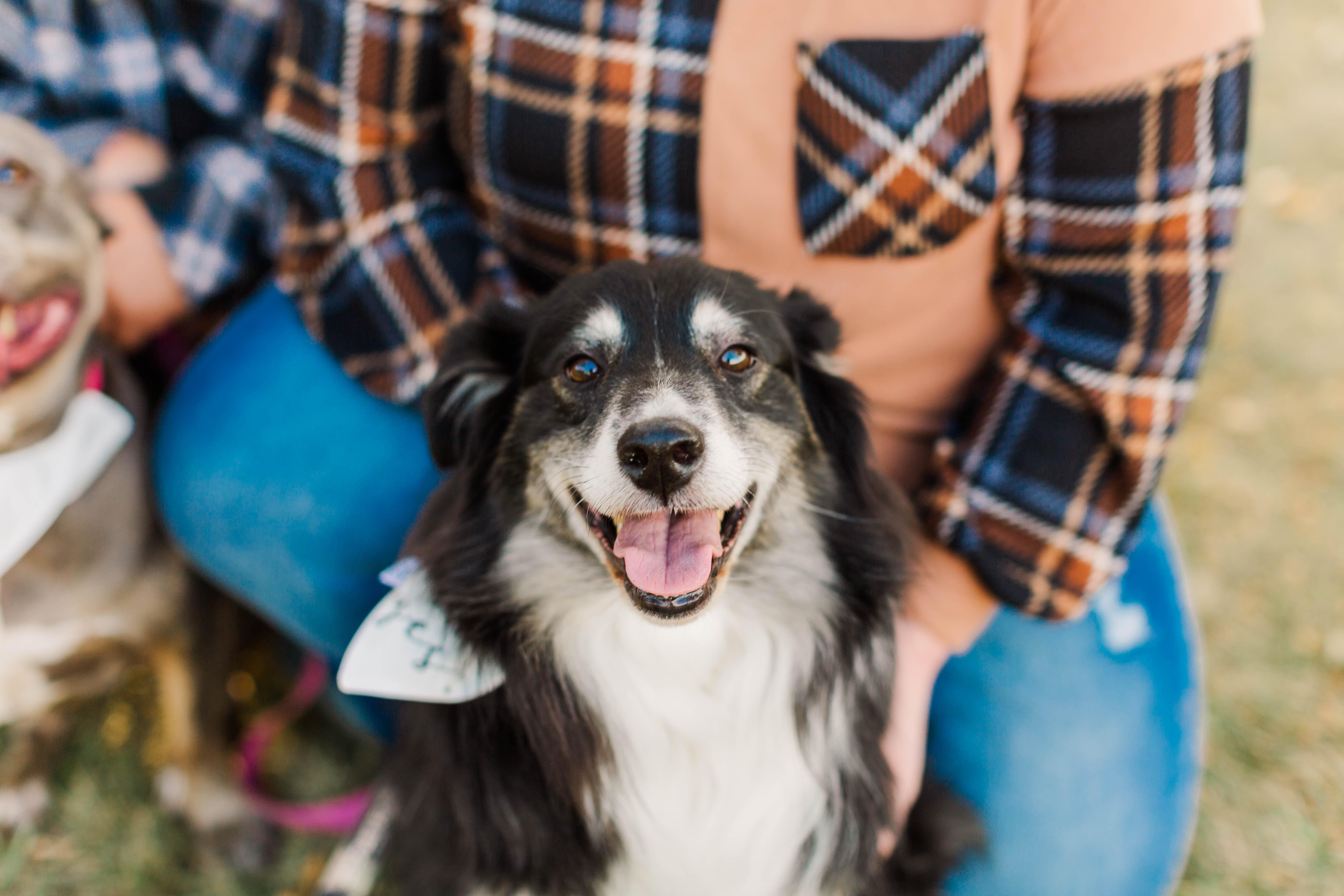 The Wedding Website of Kristynn Brant and Alek Schmidt