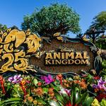 Disney's Animal Kingdom Theme Park