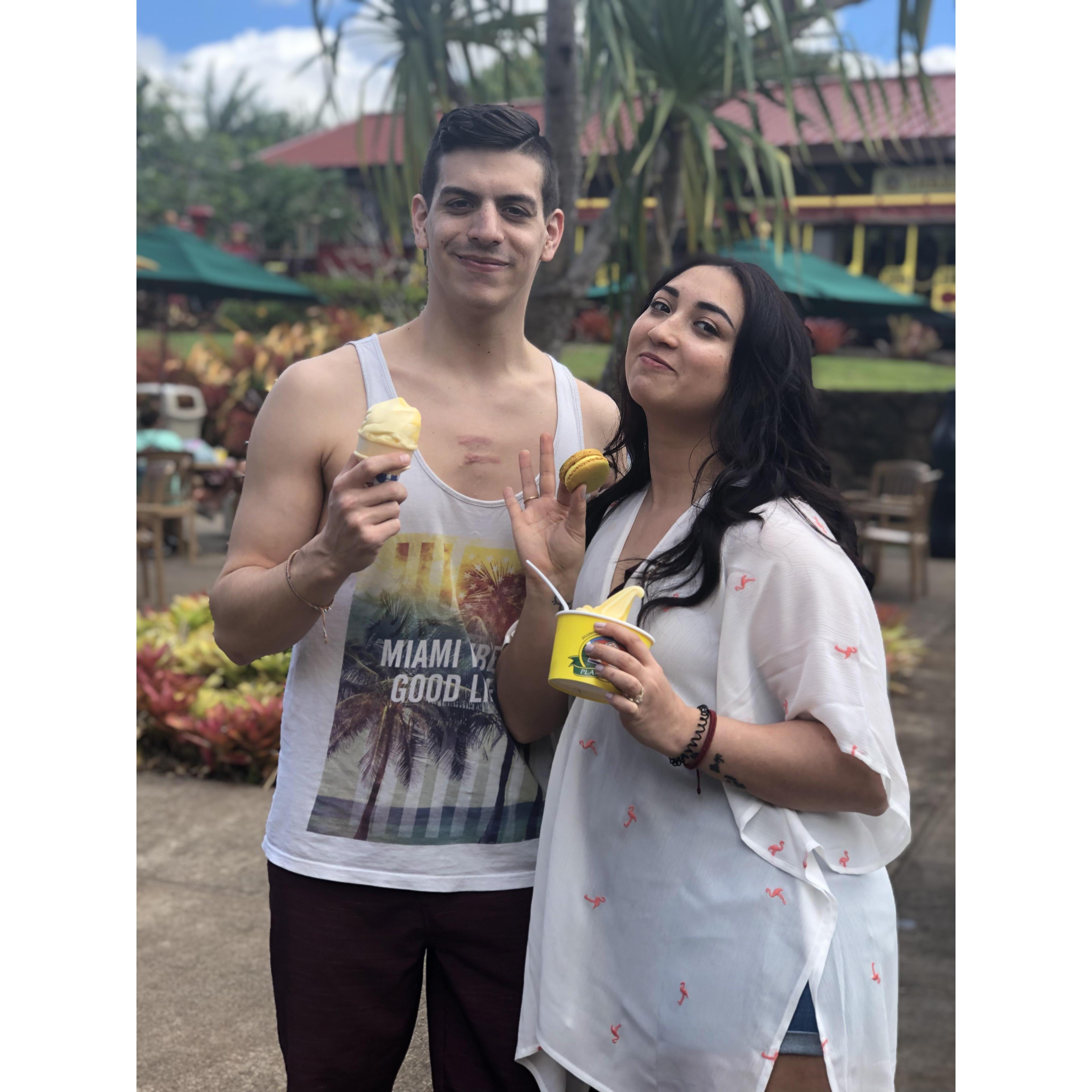 The one at the Dole Plantation