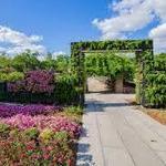 New Orleans Botanical Gardens