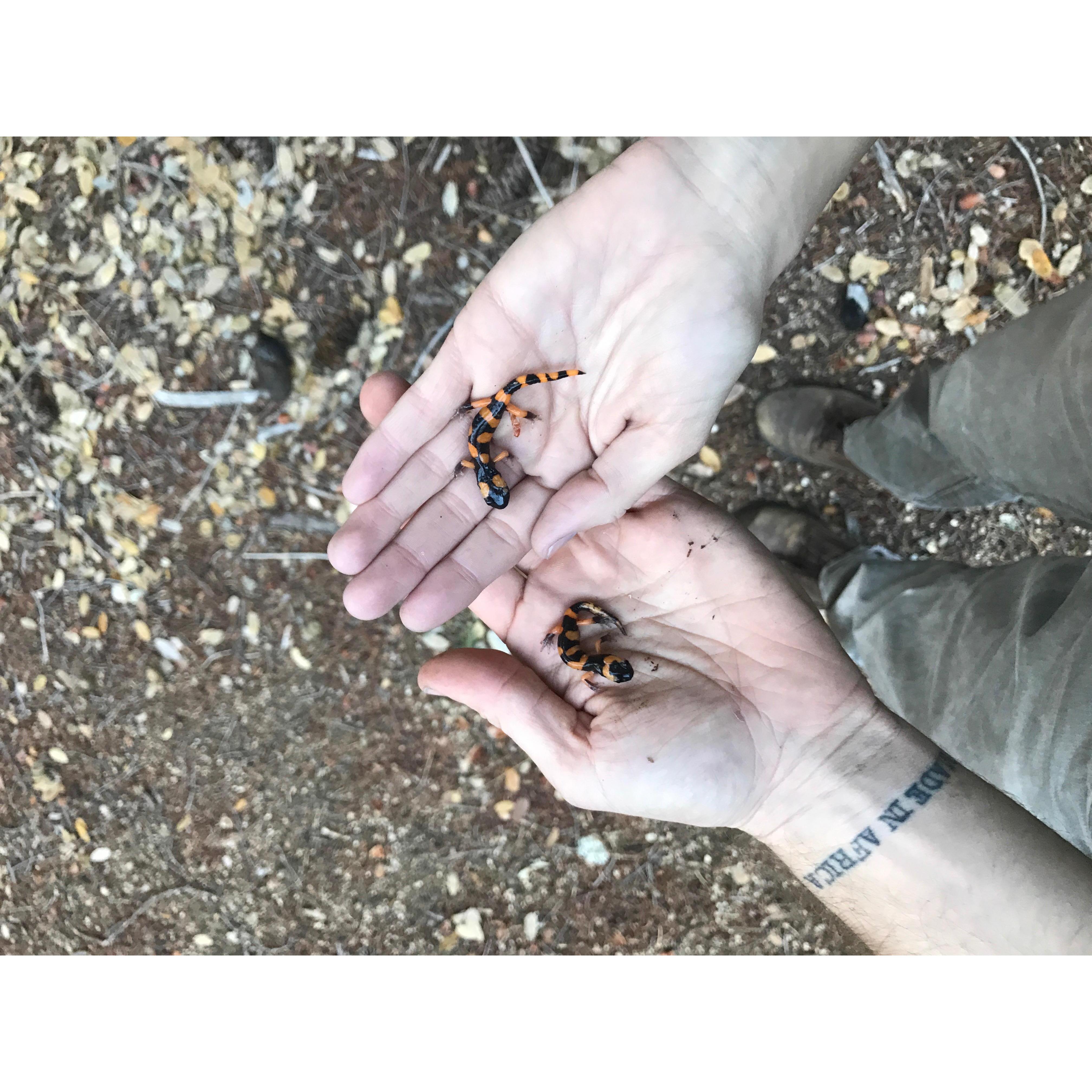 love and creatures bind us together