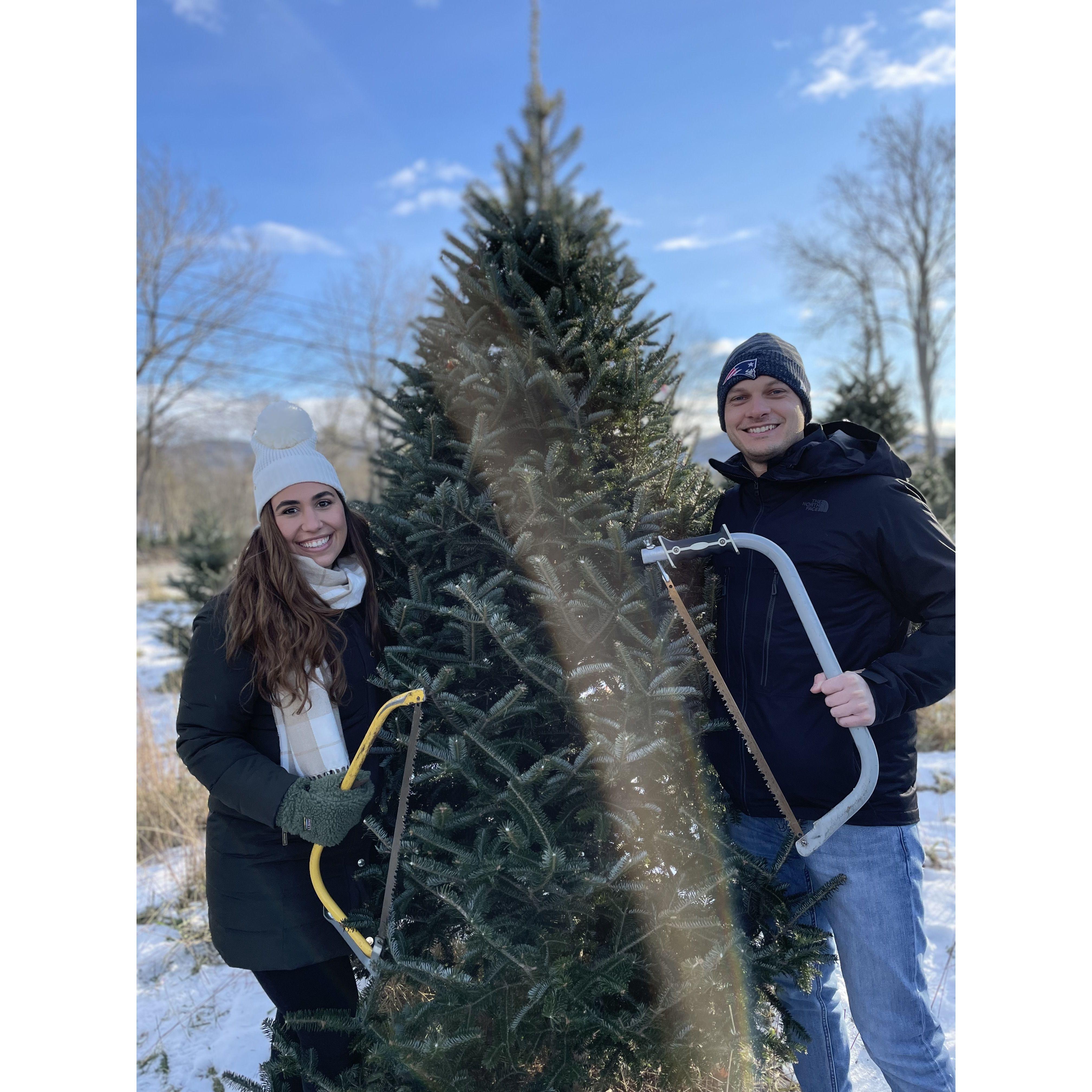 Dezembro de 2021 — Escolhendo nossa primeira árvore de Natal juntos (chamada Stowie)