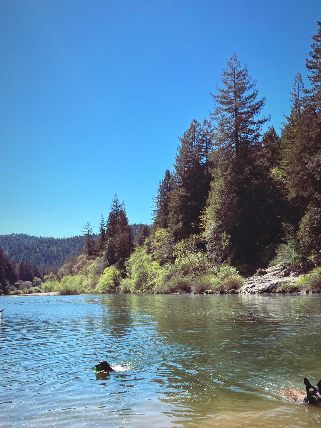 The Wedding Website of Meghan Harrigan and Christopher McDonell