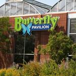 Butterfly Pavilion