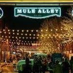 Mule Alley