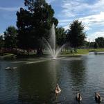 Herrin Memorial Park
