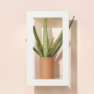 Portrait Growframe