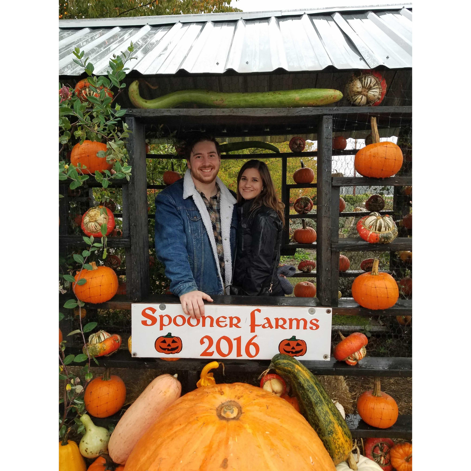 Fall 2016 together