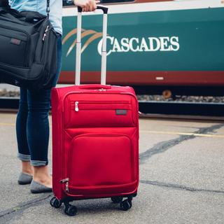 Sigma 5 Short Trip 21" 4-Wheeled Expandable Carry-On