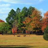 Gulley Park