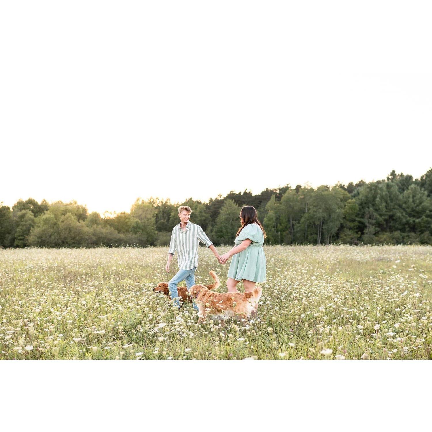 Engagement pictures in Michigan