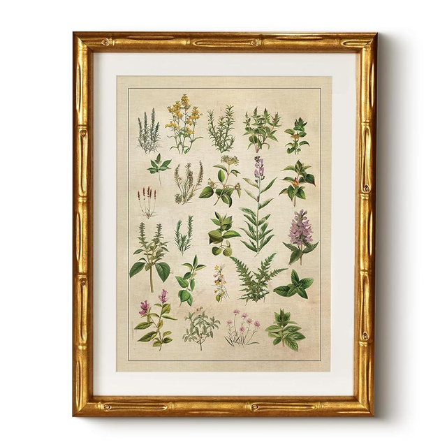 HUARCEY Vintage Botanical Chart Wall Art Gold Framed 11x14, Antique Style Herb Plant Illustration Canvas Print, Classic Apothecary Natural History Artwork Kitchen Study Farmhouse Office Home Decor