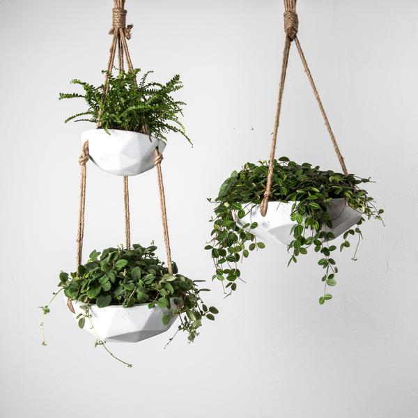 Arden Hanging Planter
