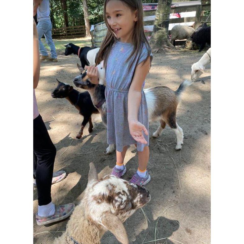 Ellie: The Official Goat Whisperer 🐐😄 #GoatSnacksExtraordinaire