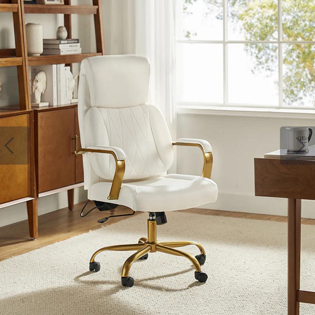 Ludwig Ergonomic Office Chair with Lumbar Support