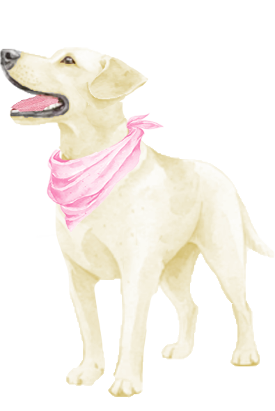 The Wedding Website of Gabrielle Smith and Ryan Donovan