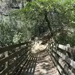 Trippet Ranch