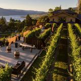 Ex Nihilo Vineyards & Tasting Room