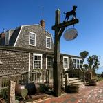 The Black Dog Tavern