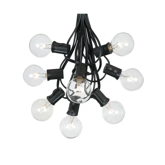 Novelty Lights 25 Feet Clear G40 Globe Outdoor Patio String Lights, Black Wire
