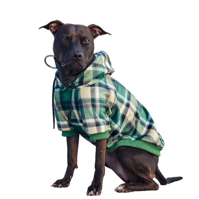Spark Paws Dog Hoodie – Premium Dog Sweater for Small, Medium, and Large Dogs | Warm Outfits for French Bulldogs, Pitbull, Puppy, Winter Jacket Alternative - Green Plaid - 2XL