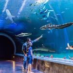 Aquarium of the Pacific