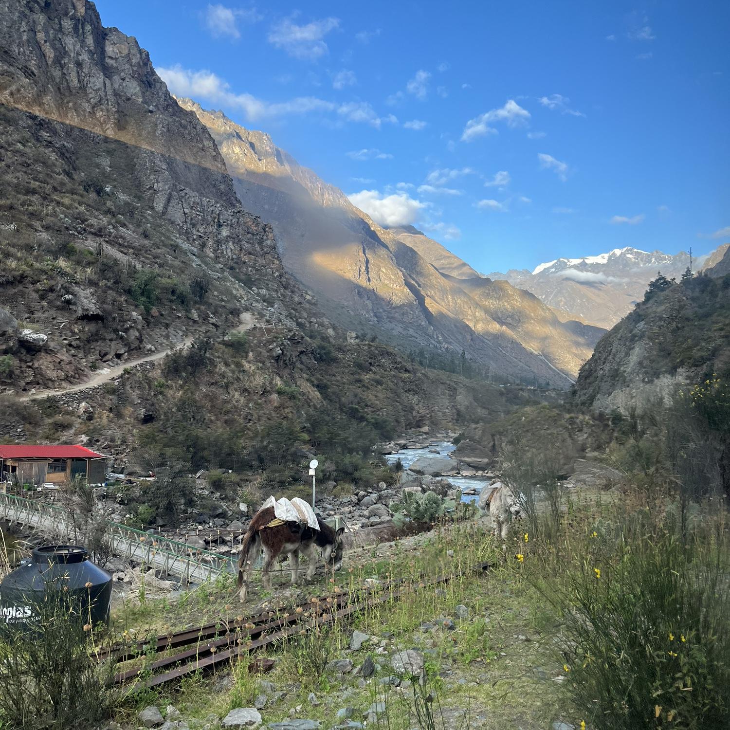 View from train to Machu Picchu