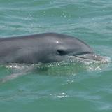 Florida Blue Adventures