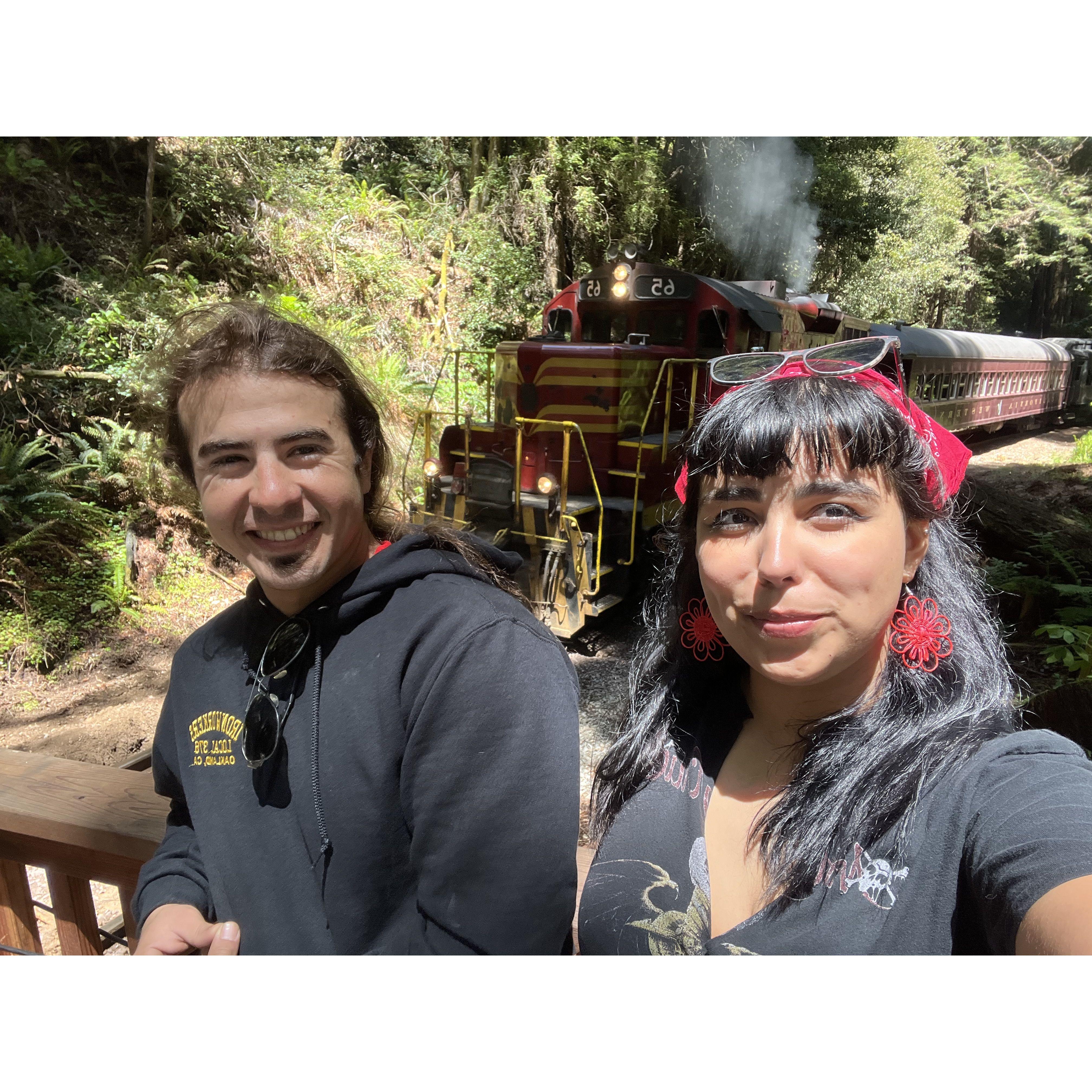 Mendocino Steam Trains